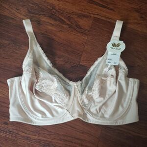 Wacoal Women's Elegant Cream Lace Trim Chic Feminine Luxury Bra 36DD NWT